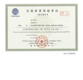 ��ߑ�(y��ng)ԇ�����p�����