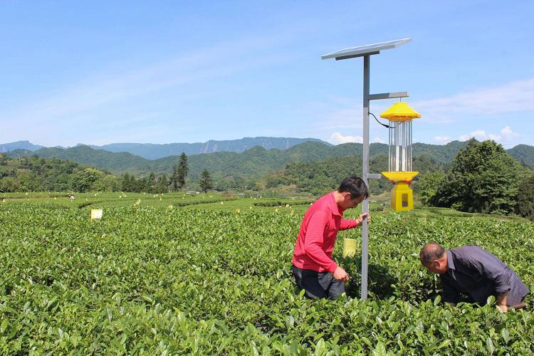 農用殺蟲燈為什么不殺蒼蠅
