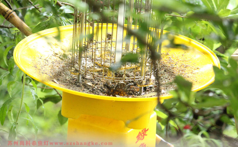 殺蟲燈在果園的運(yùn)用:綠色滅蟲利器