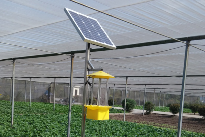 全自動太陽能殺蟲燈和太陽能殺蟲燈的區(qū)別