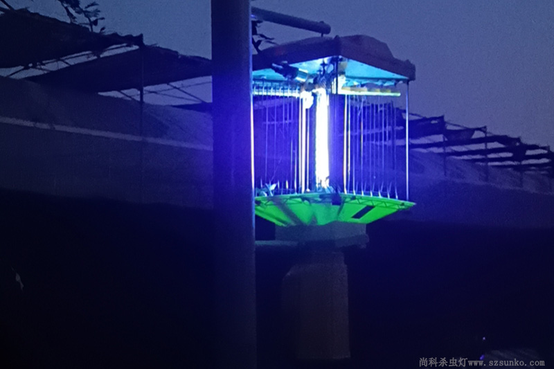 燈誘昆蟲用什么燈?誘蟲殺蟲燈原理 燈誘昆蟲用什么燈?誘蟲殺蟲燈原理