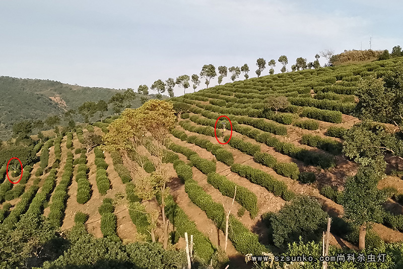 太陽能殺蟲燈有定位嗎？