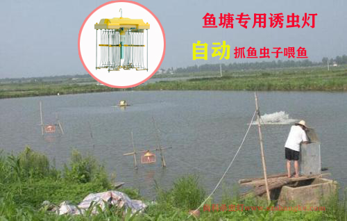 魚塘誘蟲燈專用殺蟲燈 魚塘誘蟲燈專用殺蟲燈
