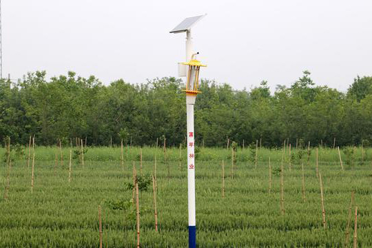 陜西柿園TFX50果園太陽(yáng)能殺蟲燈效果圖：燈桿高度3米