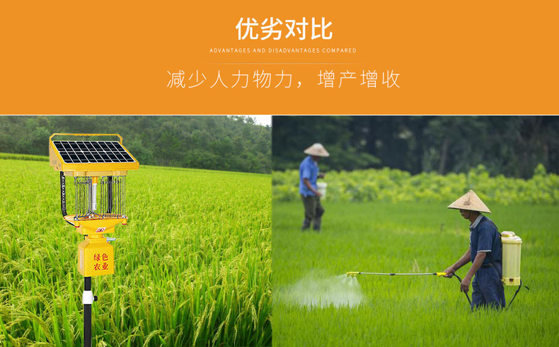 太陽(yáng)能殺蟲燈助力水稻田害蟲防治