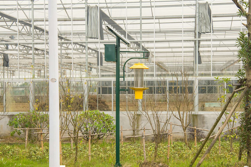 大棚外面使用電擊式太陽能殺蟲燈 大棚外面使用電擊式太陽能殺蟲燈