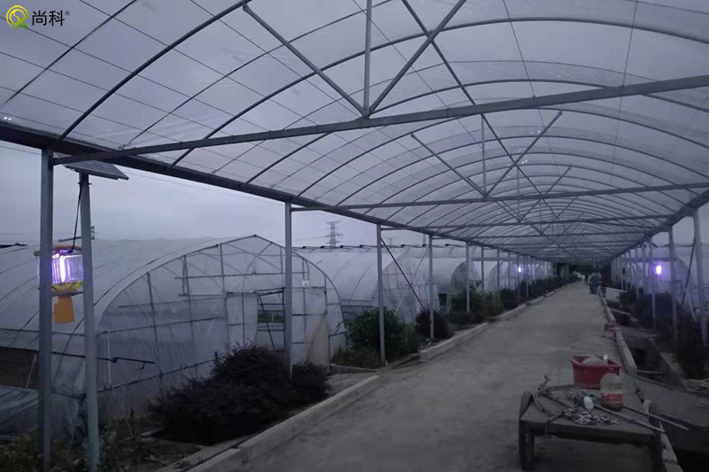 蔬菜種植基地太陽能殺蟲燈 蔬菜種植基地太陽能殺蟲燈