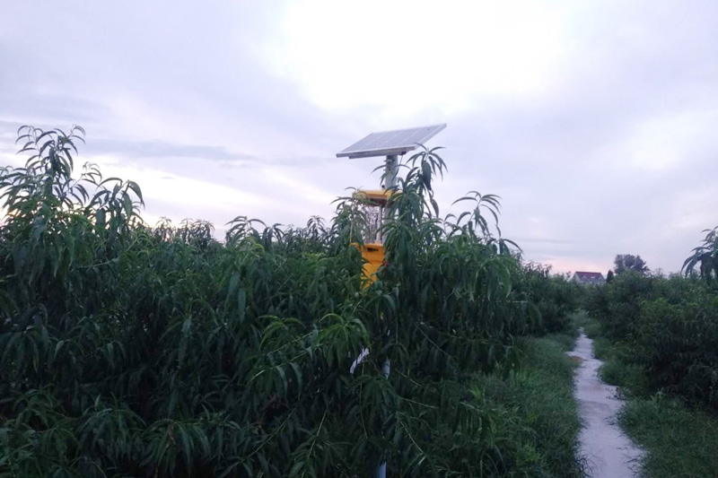 黑光燈多少錢？確定好黑光燈種類，不要買錯了