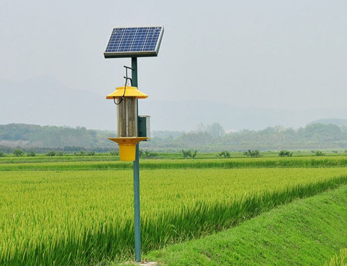 與傳統農藥相比，殺蟲燈有什么優勢