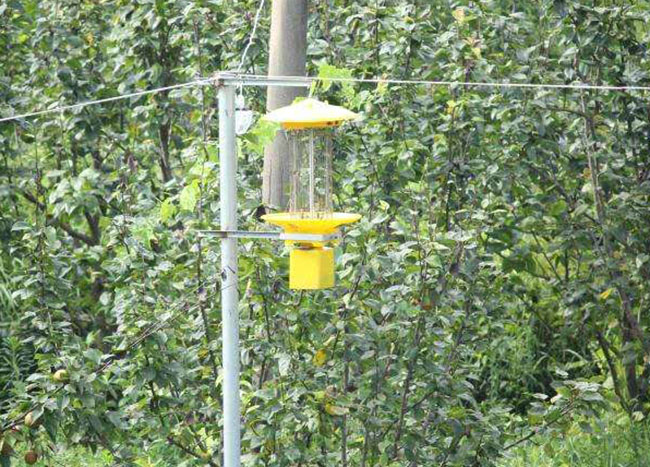草地殺蟲燈怎么樣?草地殺蟲燈的優(yōu)缺點分析