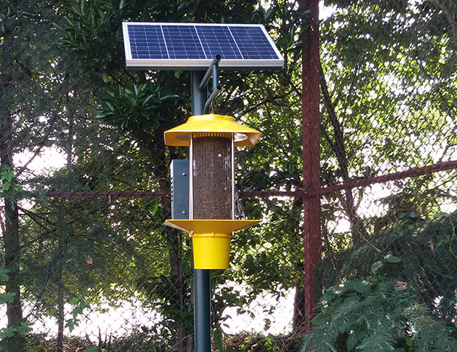 菜地殺蟲燈怎么樣?菜地殺蟲燈的優(yōu)缺點