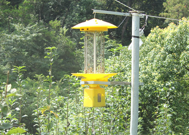 茶園滅蟲燈的工作原理詳解，讓你徹底了解這項防蟲技術