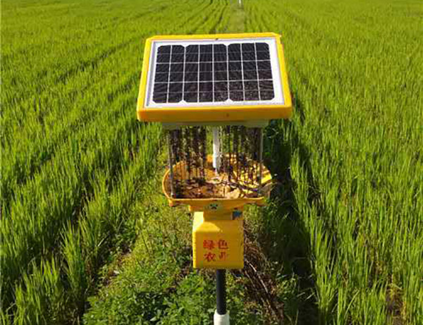 茶園殺蟲燈能殺什么蟲子,茶園殺蟲燈的高效殺蟲