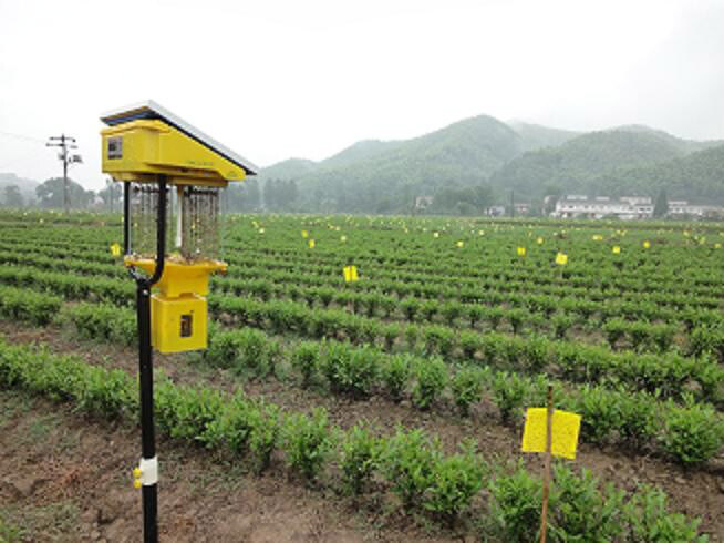 太陽能殺蟲燈分類及其特點,太陽能殺蟲燈的種類及應用