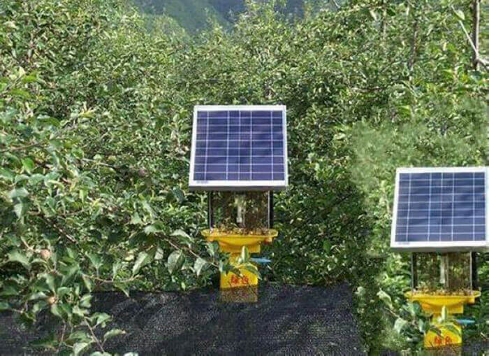 茶園殺蟲燈原理?探究茶園殺蟲燈的機理