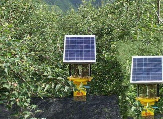 茶園太陽能殺蟲燈使用數量多少