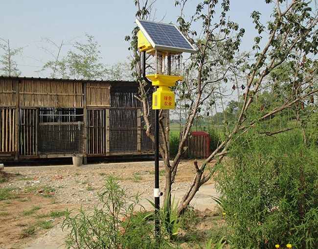 庭院太陽能殺蟲燈:高效、安全的驅蟲神器