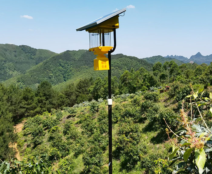 風(fēng)吸式太陽能殺蟲燈工作原理,總共5個步驟